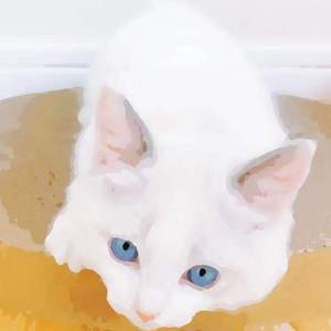 北京富婆泄欲对白
