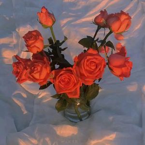 北京富婆泄欲对白
